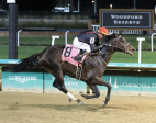 Road to the Kentucky Derby: Smile Happy Faces a Tough Test in Risen Star Stakes