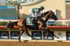 Flightline, After Soaring in Del Mar, Now Huge Breeders’ Cup Classic Favorite (VIDEO)
